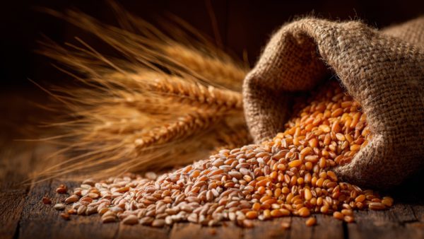 「イタリア発・究極の植物性ミルク。スコッティ『有機オーツ麦ミルク』が美容と健康に選ばれる理由」