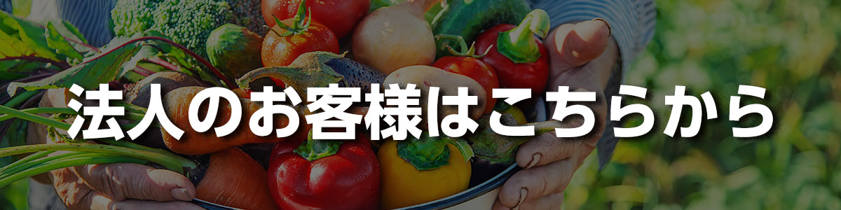 卸売販売のご提案